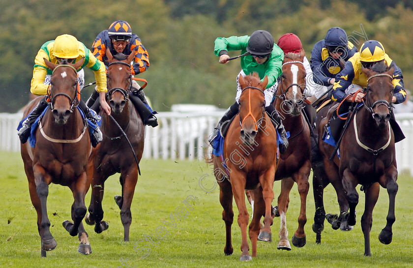 Anna-Nerium-0002 
 ANNA NERIUM (centre, Tom Marquand) beats EIRENE (left) and ONE MINUTE (right) in The Bathwick Tyres Dick Poole Fillies Stakes Salisbury 7 Sep 2017 - Pic Steven Cargill / Racingfotos.com