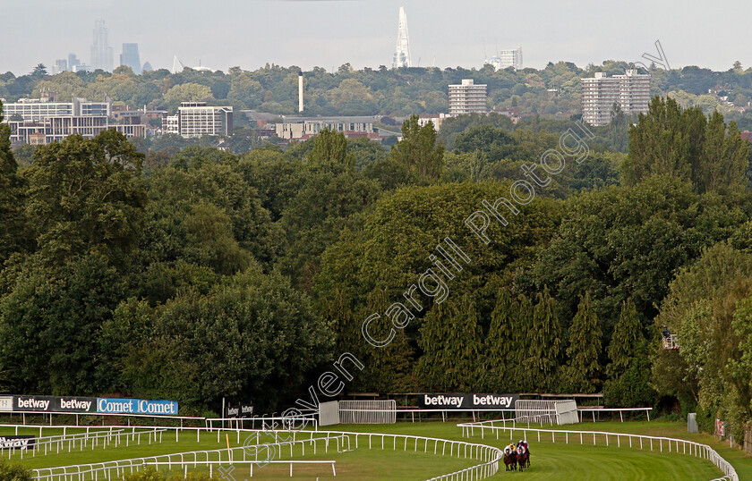 Sandown-0002 
 Turning for home at Sandown Park Racecourse with the Shard in the background
Sandown 23 Aug 2020 - Pic Steven Cargill / Racingfotos.com