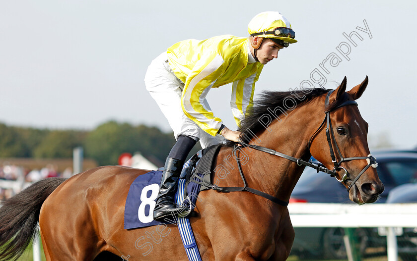 Oh-So-Grand-0001 
 OH SO GRAND (Harry Davies)
Yarmouth 18 Sep 2024 - Pic Steven Cargill / Racingfotos.com