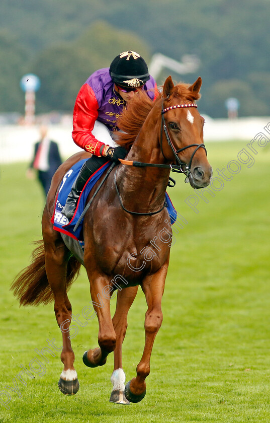 Desert-Hero-0006 
 DESERT HERO (Tom Marquand)
Doncaster 16 Sep 2023 - Pic Steven Cargill / Racingfotos.com