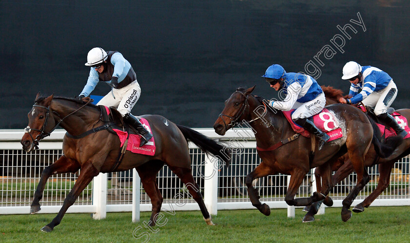 Sir-Valentino-0002 
 SIR VALENTINO (J J Burke) beats CEPAGE (right) in The Shawbrook Handicap Chase Ascot 25 Nov 2017 - Pic Steven Cargill / Racingfotos.com