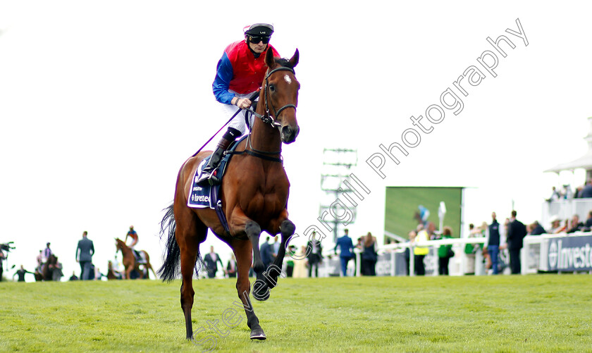 Mehdaayih-0001 
 MEHDAAYIH (Robert Havlin)
Epsom 31 May 2019 - Pic Steven Cargill / Racingfotos.com