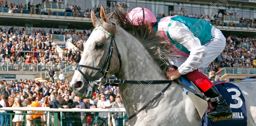 Logician-0007 
 LOGICIAN (Frankie Dettori) before The William Hill St Leger
Doncaster 14 Sep 2019 - Pic Steven Cargill / Racingfotos.com