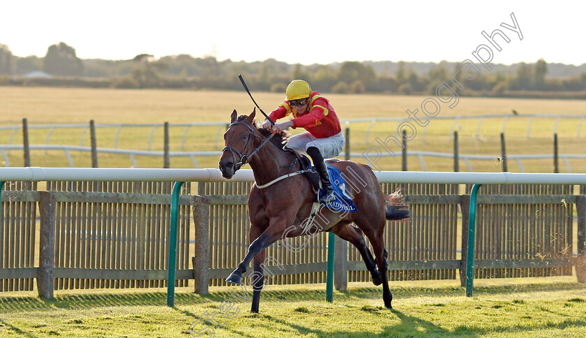 Data-Protection-0005 
 DATA PROTECTION (James Doyle) wins The Shadwell Farm Handicap
Newmarket 27 Sep 2019 - Pic Steven Cargill / Racingfotos.com