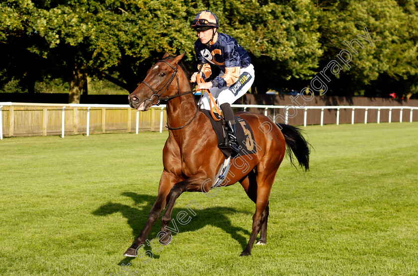 Bueno-Nacho-0001 
 BUENO NACHO (Joshua Bryan)
Newmarket 9 Aug 2024 - Pic Steven Cargill / Racingfotos.com