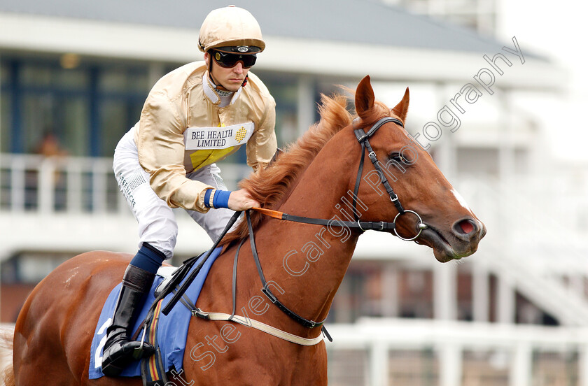 Deebee-0001 
 DEEBEE (Kevin Stott)
Nottingham 30 Apr 2019 - Pic Steven Cargill / Racingfotos.com