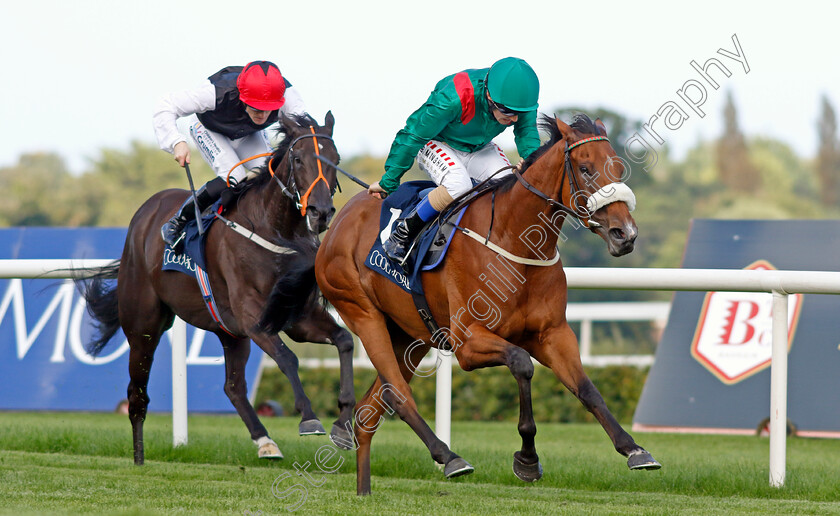 Tahiyra-0004 
 TAHIYRA (Chris Hayes) wins The Coolmore America Matron Stakes
Leopardstown 9 Sep 2023 - Pic Steven Cargill / Racingfotos.com