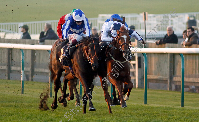 Speeding-Bullet-0004 
 SPEEDING BULLET (left, Oisin Murphy) beats THE SMILING WOLF (right) in The Racing Welfare Nursery
Newmarket 25 Oct 2023 - Pic Steven Cargill / Racingfotos.com