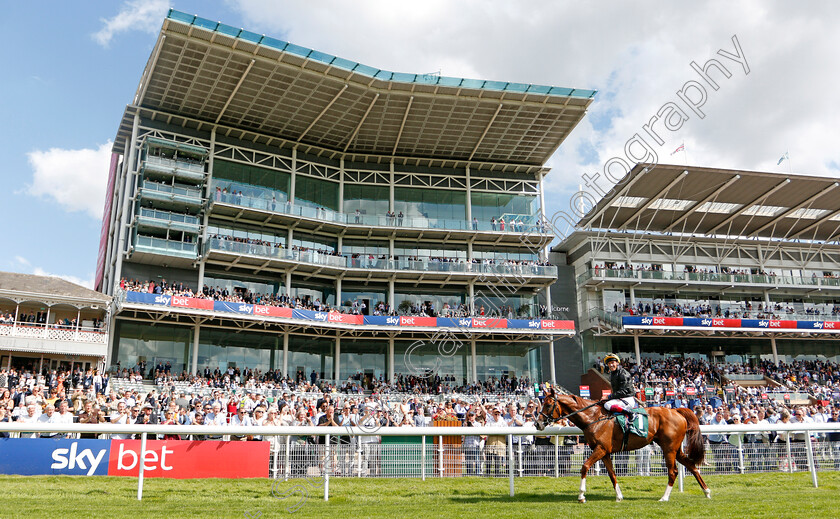 Stradivarius-0012 
 STRADIVARIUS (Frankie Dettori) after The Weatherbys Hamilton Lonsdale Cup
York 23 Aug 2019 - Pic Steven Cargill / Racingfotos.com