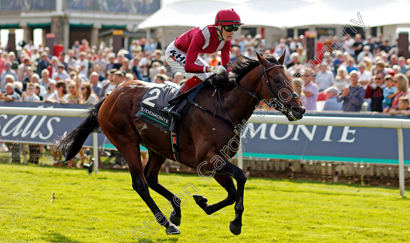 Mishriff-0004 
 MISHRIFF (David Egan) wins The Juddmonte International
York 18 Aug 2021 - Pic Steven Cargill / Racingfotos.com