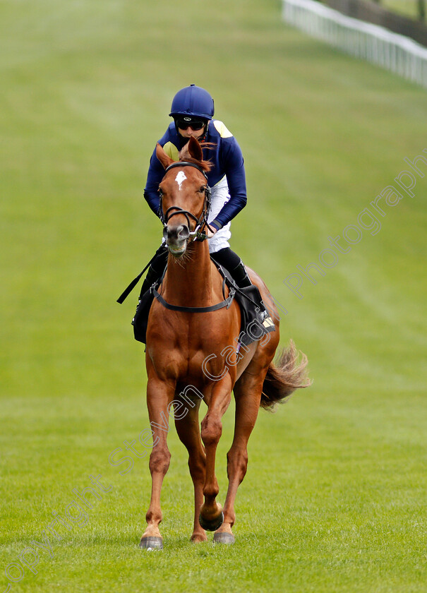 Another-Romance-0001 
 ANOTHER ROMANCE (Jack Mitchell)
Newmarket 26 Jun 2021 - Pic Steven Cargill / Racingfotos.com