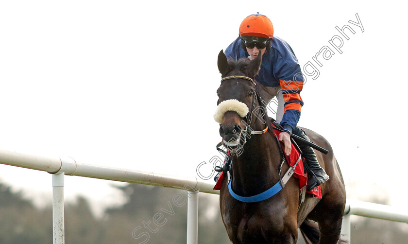 Midweek-Voices-0002 
 MIDWEEK VOICES (Cian Quirke) wins The Adare Manor Opportunity Handicap Chase
Punchestown 12 Jan 2025 - Pic Steven Cargill / Racingfotos.com