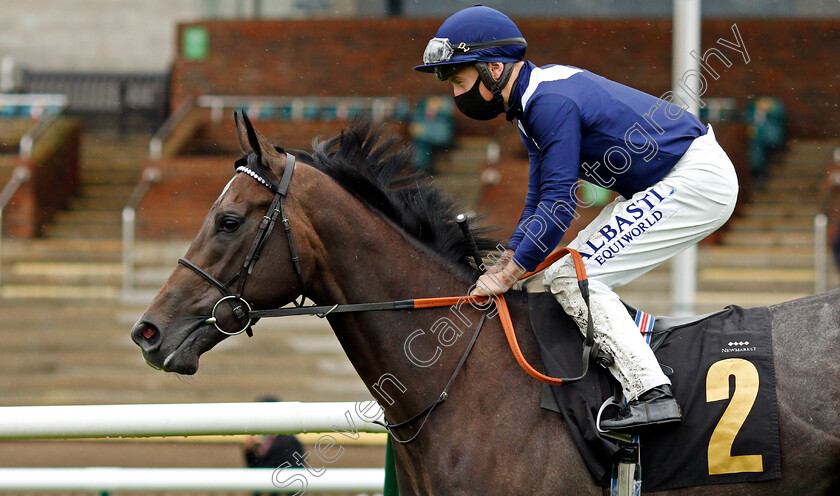 Aramaic-0001 
 ARAMAIC (Tom Marquand)
Newmarket 21 Oct 2020 - Pic Steven Cargill / Racingfotos.com