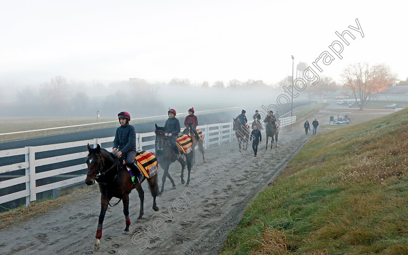 Order-of-Australia-0001 
 ORDER OF AUSTRALIA leading Aidan O'Briens string at training for the Breeders' Cup 
Keeneland USA 3 Nov 2022 - Pic Steven Cargill / Racingfotos.com