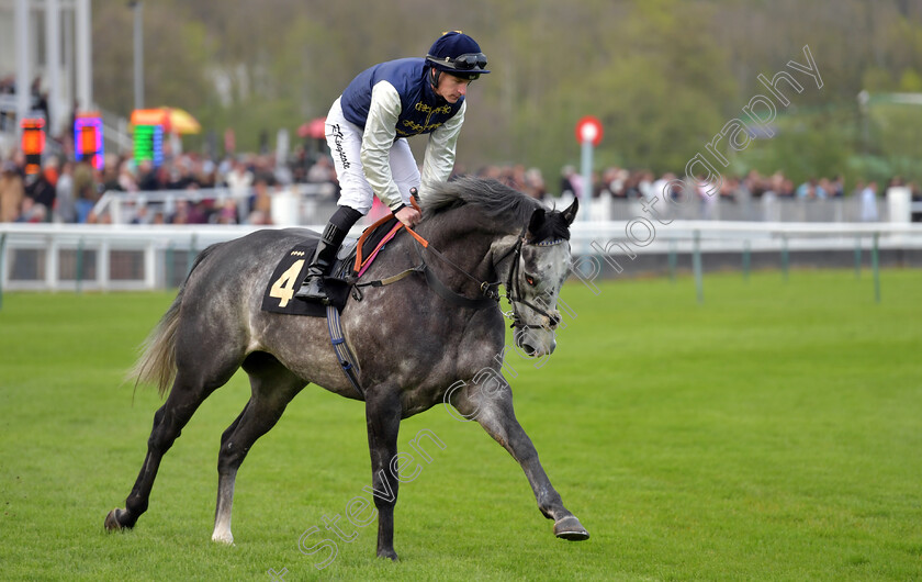 Enzos-Angel-0001 
 ENZOS ANGEL (Richard Kingscote)
Nottingham 22 Apr 2023 - Pic Steven Cargill / Becky Bailey / Racingfotos.com