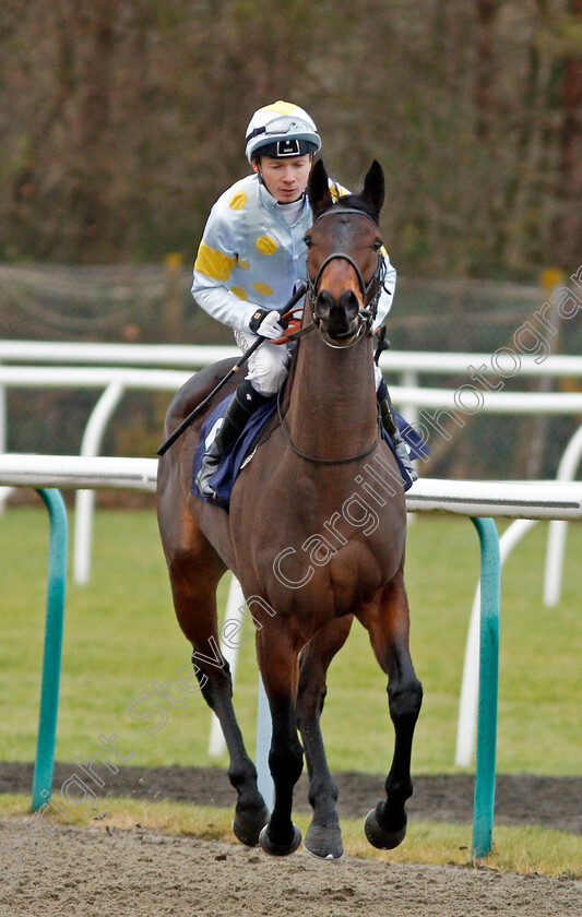 Mundersfield-0001 
 MUNDERSFIELD (Jamie Spencer) Lingfield 13 Dec 2017 - Pic Steven Cargill / Racingfotos.com