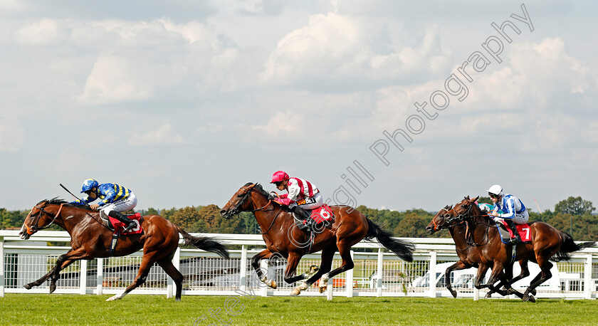 Rum-Runner-0003 
 RUM RUNNER (Sean Levey) beats ENZEMBLE (centre) and HISTORY WRITER (right) in The British Stallion Studs EBF Maiden Stakes Div1 Sandown 1 Sep 2017 - Pic Steven Cargill / Racingfotos.com