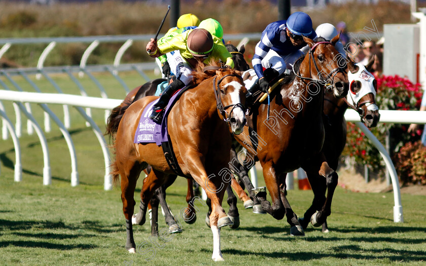 Chasing-Liberty-0004 
 CHASING LIBERTY (centre, Irad Ortiz) beats TEST SCORE (right) in The Thoroughbred Aftercare Alliance Stakes
Del Mar USA 1 Nov 2024 - Pic Steven Cargill / Racingfotos.com