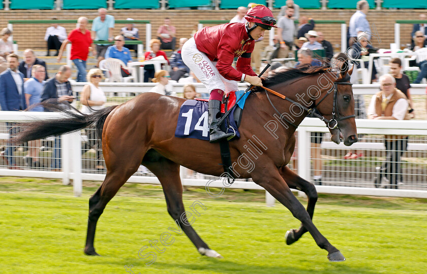 Zoology-0006 
 ZOOLOGY (Cieren Fallon) winner of The British Stallion Studs EBF Novice Stakes
Yarmouth 13 Sep 2022 - Pic Steven Cargill / Racingfotos.com