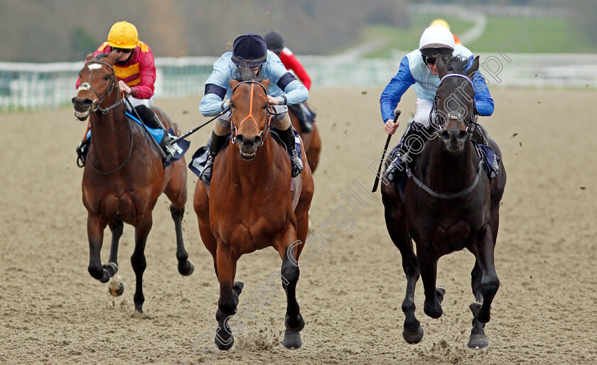 Sir-Edward-Elgar-0004 
 SIR EDWARD ELGAR (right, Robert Havlin) beats HOST (centre) in The Bombardier British Hopped Amber Beer Maiden Stakes
Lingfield 27 Jan 2021 - Pic Steven Cargill / Racingfotos.com