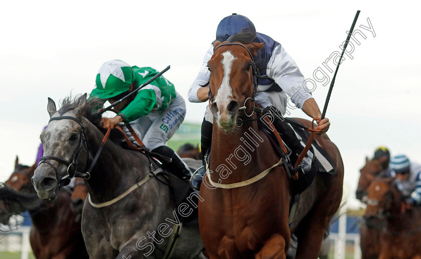 Rohaan-0002 
 ROHAAN (Neil Callan) wins The Ascot Iron Stand Membership Handicap
Ascot 6 Oct 2023 - Pic Steven Cargill / Racingfotos.com