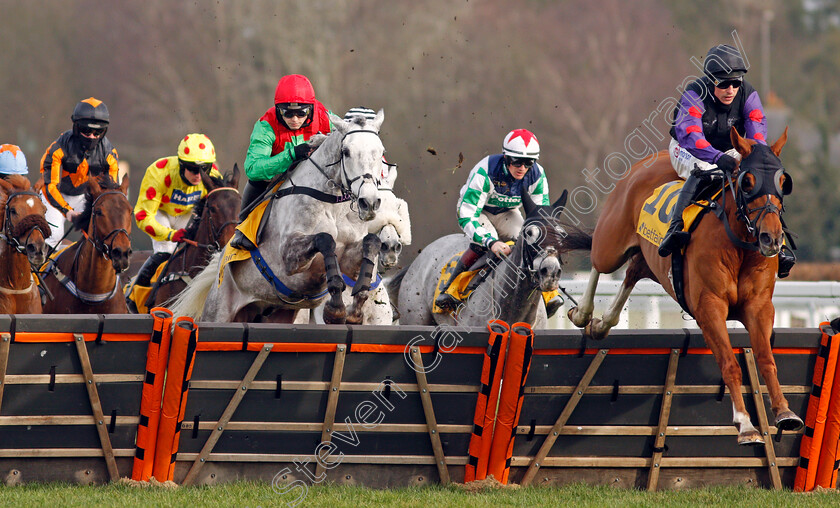 Shannon-Bridge-0001 
 SHANNON BRIDGE (Harry Skelton) wins The Betfair Cheltenham Free Bet Pot Builder Handicap Hurdle
Ascot 20 Feb 2021 - Pic Steven Cargill / Racingfotos.com