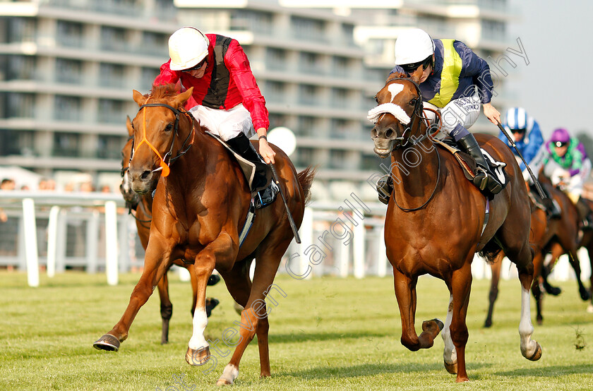 Star-Terms-0003 
 STAR TERMS (left, James Doyle) beats DUTCH TREAT (right) in The South Downs Water British EBF Maiden Fillies Stakes
Newbury 26 Jul 2018 - Pic Steven Cargill / Racingfotos.com