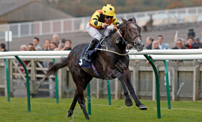 Lynwood-Gold-0002 
 LYNWOOD GOLD (P J McDonald) wins The Cambridge Art Fair Nursery Newmarket 25 Oct 2017 - Pic Steven Cargill / Racingfotos.com