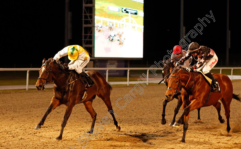 Pinnata-0002 
 PINNATA (left, Sean Levey) beats CARNIVAL KING (right) in The totescoop6 The Millionaire Maker Handicap Chelmsford 16 Nov 2017 - Pic Steven Cargill / Racingfotos.com