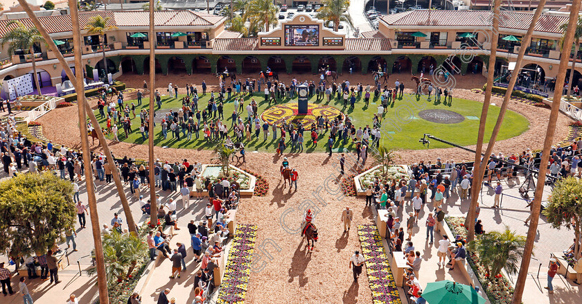 Del-Mar-0003 
 Horses leaving the paddock for a race at Del Mar 2 Nov 2017 - Pic Steven Cargill / Racingfotos.com