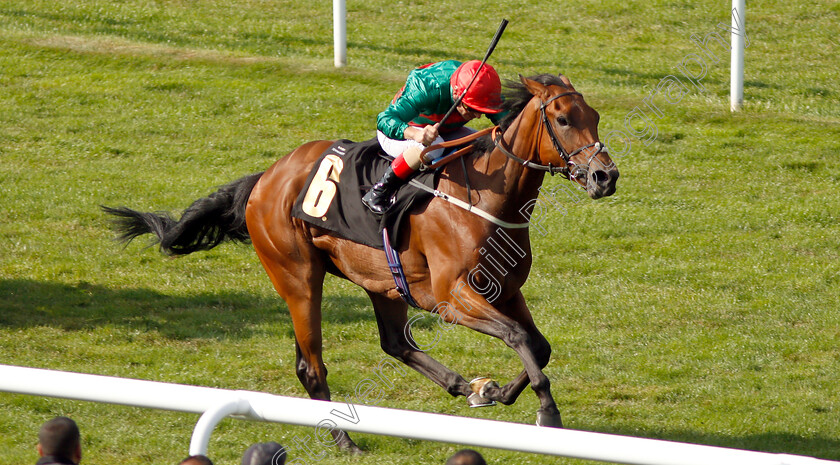 Mountain-Peak-0003 
 MOUNTAIN PEAK (Andrea Atzeni) wins The JFD Handicap
Newmarket 12 Jul 2019 - Pic Steven Cargill / Racingfotos.com