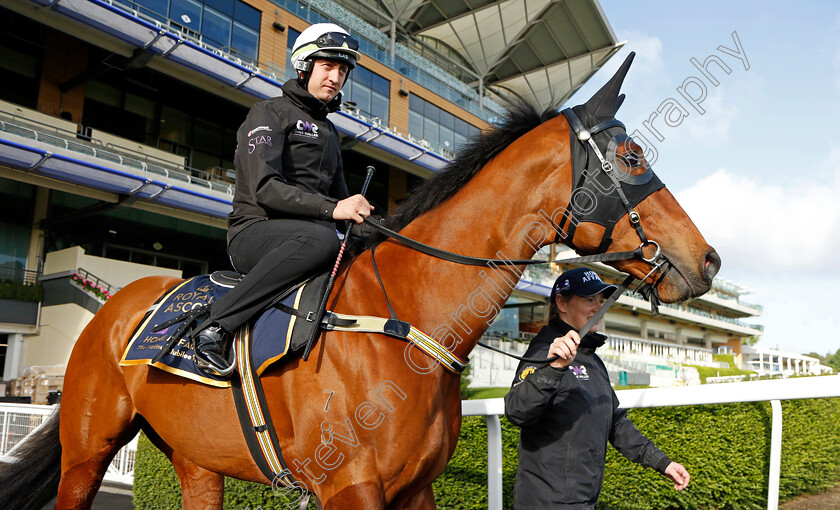 Home-Affairs-0009 
 HOME AFFAIRS - Australia to Ascot, preparing for the Royal Meeting.
Ascot 10 Jun 2022 - Pic Steven Cargill / Racingfotos.com