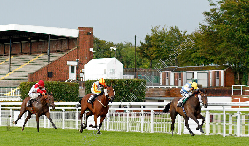 Call-My-Bluff-0001 
 CALL MY BLUFF (Harry Bentley) wins The Ladbrokes Watch Racing Online For Free Handicap
Goodwood 28 Aug 2020 - Pic Steven Cargill / Racingfotos.com