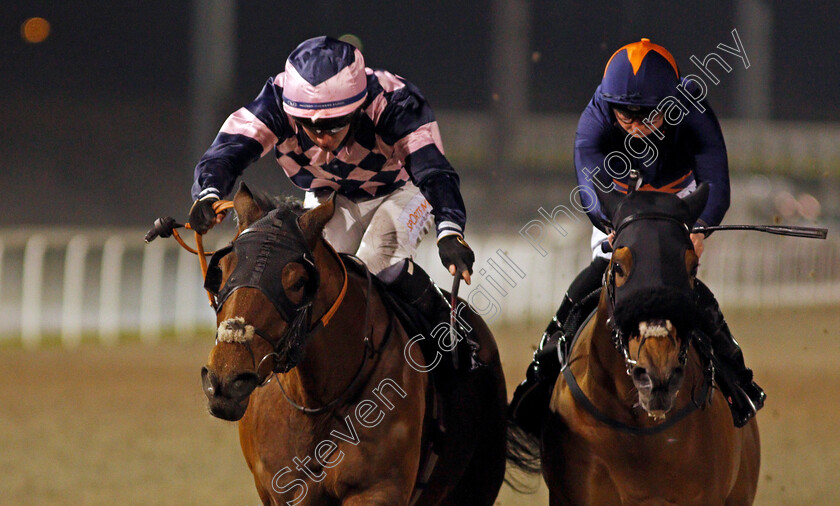 Dark-Pine-0007 
 DARK PINE (left, Rossa Ryan) beats ARIJ (right) in The chelmsfordcityracecourse.com Handicap
Chelmsford 14 Jan 2021 - Pic Steven Cargill / Racingfotos.com