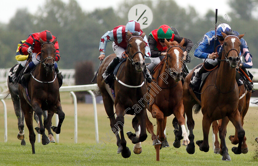 Tavus-0002 
 TAVUS (right, Jason Watson) beats NED PEPPER (left) in The covermarque.com For Bloodstock Insurance Handicap
Newbury 6 Aug 2019 - Pic Steven Cargill / Racingfotos.com