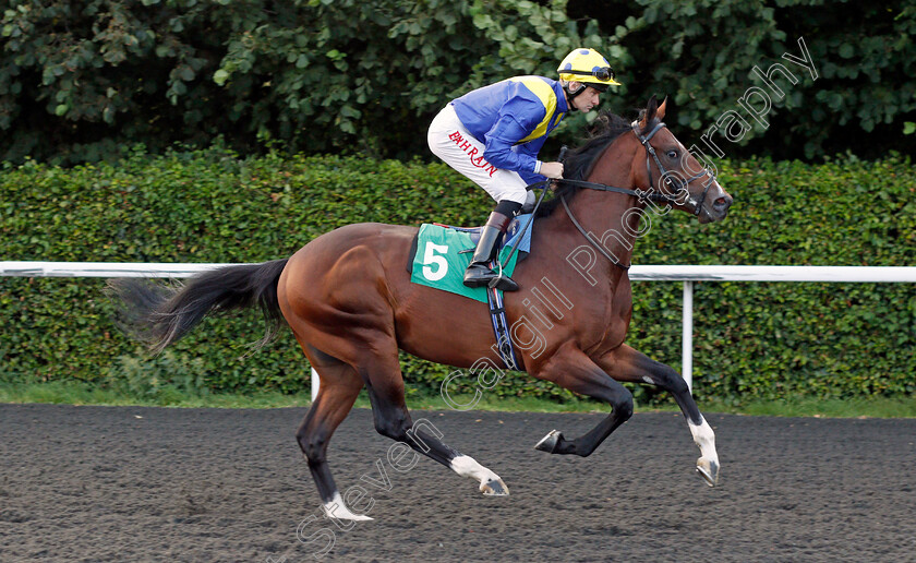 Dream-By-Day-0001 
 DREAM BY DAY (Robert Havlin)
Kempton 3 Sep 2021 - Pic Steven Cargill / Racingfotos.com