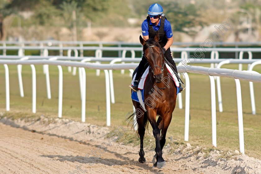 Loxley-0001 
 LOXLEY training for the Bahrain International Trophy
Rashid Equestrian & Horseracing Club, Bahrain, 19 Nov 2020 - Pic Steven Cargill / Racingfotos.com