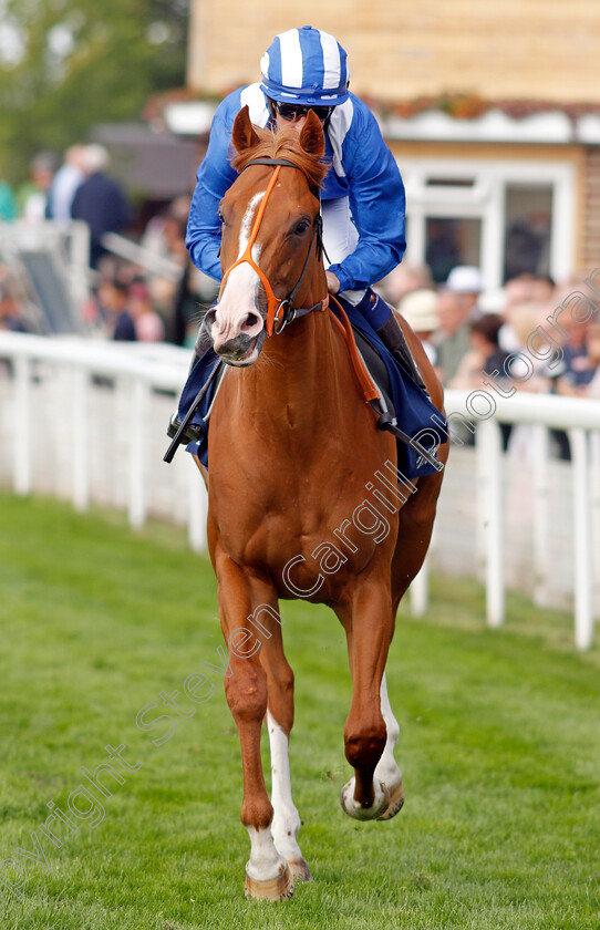 Ehraz-0002 
 EHRAZ (Jim Crowley)
York 18 Aug 2021 - Pic Steven Cargill / Racingfotos.com