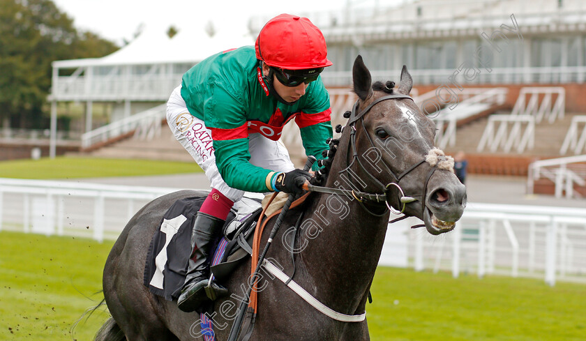 Elham-Valley-0004 
 ELHAM VALLEY (Oisin Murphy) wins The Chichester City Selling Stakes
Goodwood 30 Aug 2020 - Pic Steven Cargill / Racingfotos.com