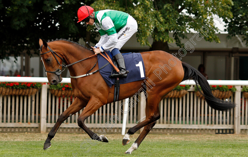 Blissful-Beauty-0001 
 BLISSFUL BEAUTY (Jim Crowley)
Newmarket 20 Jul 2018 - Pic Steven Cargill / Racingfotos.com