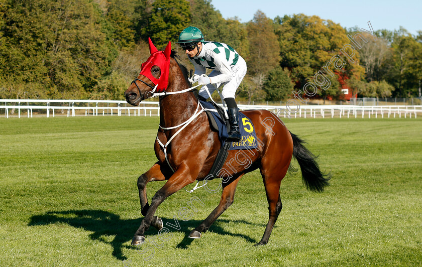 Aphelios-0003 
 APHELIOS (Elione Chaves) winner of The Bro Park Sprint Championship
Bro Park, Sweden , 15 Sep 2024 - Pic Steven Cargill / Racingfotos.com