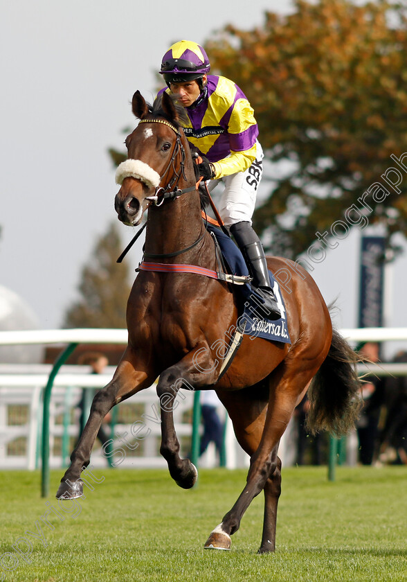 Midnite-Runner-0002 
 MIDNITE RUNNER (Sean Levey)
Newmarket 7 Oct 2023 - Pic Steven Cargill / Racingfotos.com