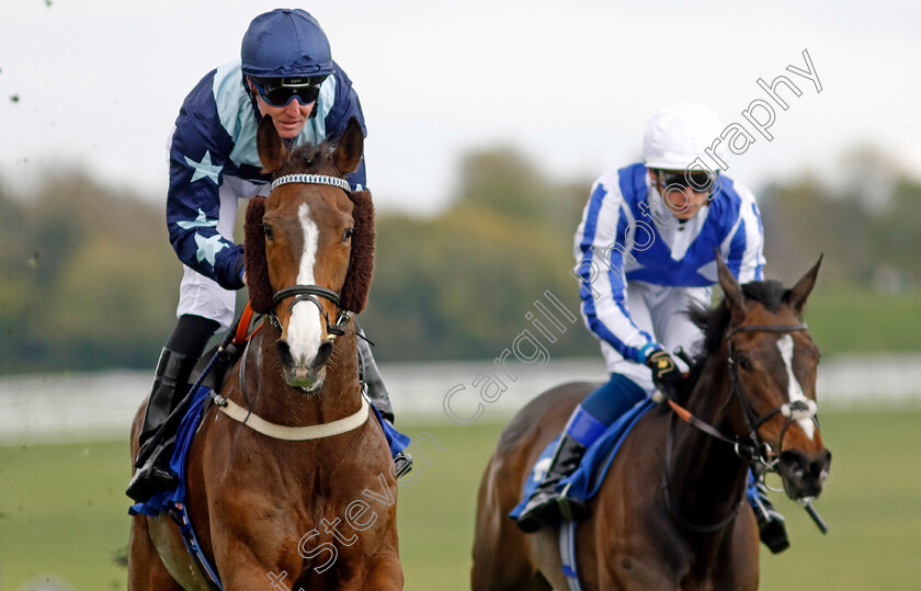 Bad-Company-0001 
 BAD COMPANY (Pat Cosgrave) wins The Betfred City And Suburban Handicap
Epsom 25 Apr 2023 - Pic Steven Cargill / Racingfotos.com