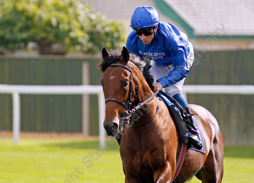 Ingleton-0002 
 INGLETON (William Buick)
Yarmouth 16 Sep 2021 - Pic Steven Cargill / Racingfotos.com