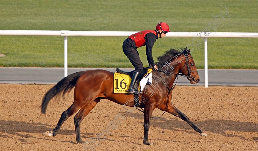 War-Decree-0001 
 WAR DECREE exercising in preparation for The Dubai Turf at Meydan 29 Mar 2018 - Pic Steven Cargill / Racingfotos.com