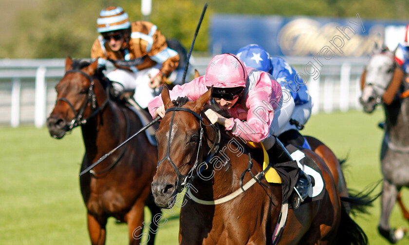 Firenze-Rose-0005 
 FIRENZE ROSA (Gina Mangan) wins The William Hill Handicap
Goodwood 26 Aug 2022 - Pic Steven Cargill / Racingfotos.com