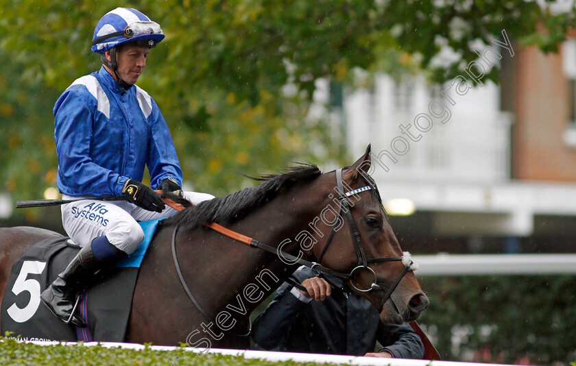 Minzaal-0001 
 MINZAAL (Jim Crowley)
Ascot 2 Oct 2021 - Pic Steven Cargill / Racingfotos.com