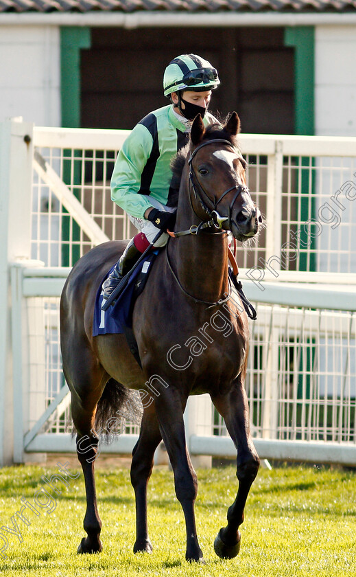 Francesco-Guardi-0001 
 FRANCESCO GUARDI (Oisin Murphy)
Yarmouth 17 Sep 2020 - Pic Stevn Cargill / Racingfotos.com