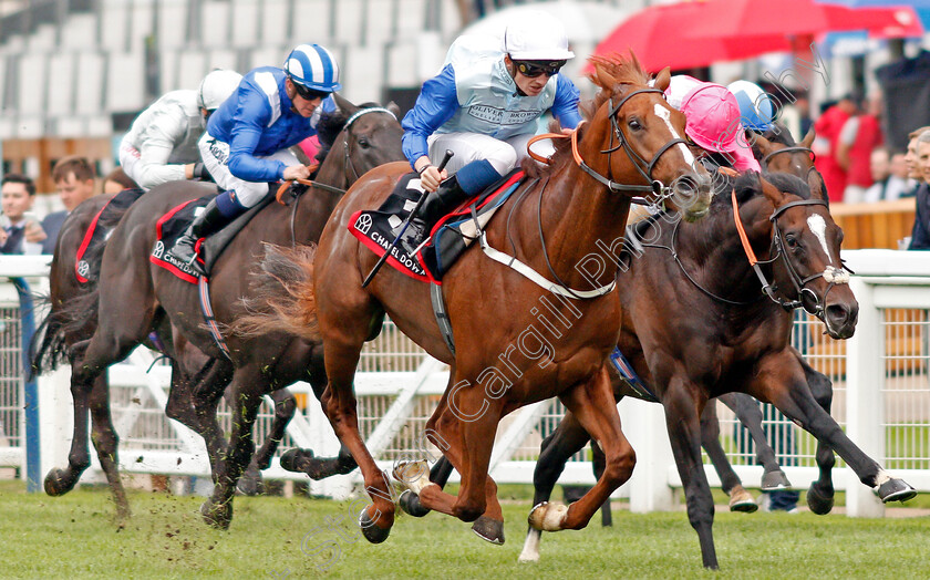 Ebury-0002 
 EBURY (Rob Hornby) wins The Chapel Down Classified Stakes
Ascot 6 Sep 2019 - Pic Steven Cargill / Racingfotos.com