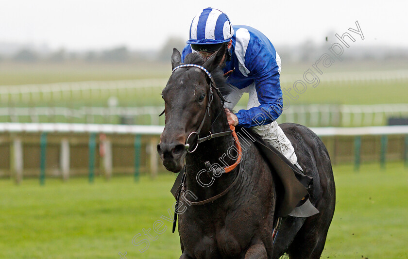 Mutasaabeq-0005 
 MUTASAABEQ (Dane O'Neill) wins The Download The Mansionbet App Novice Stakes
Newmarket 21 Oct 2020 - Pic Steven Cargill / Racingfotos.com